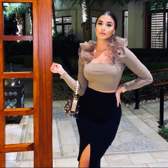 NWT Zara Brown Taupe Organza Long Sleeve Shirt Bloggers’ Favorite - Picture 10 of 11